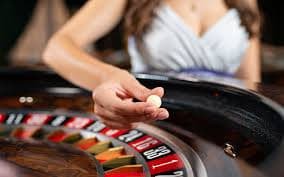 sv113 Account Registration